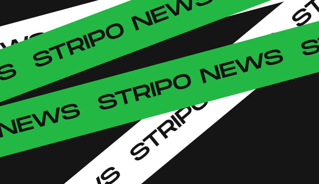 stripo-news-february