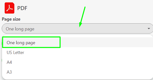 Stripo Export to PDF One Long Page