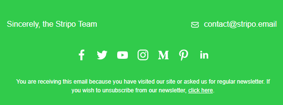 How-to-Build-Email-with-Stripo-Example-of-Email-Footer