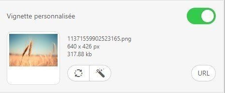 Stripo-Adding-Custom-Thumbnail-Image_FR
