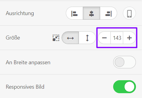 Header-Einstellung Logogröße _ Stripo
