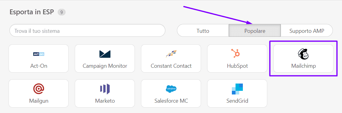 Opzione di esportazione Mailchimp