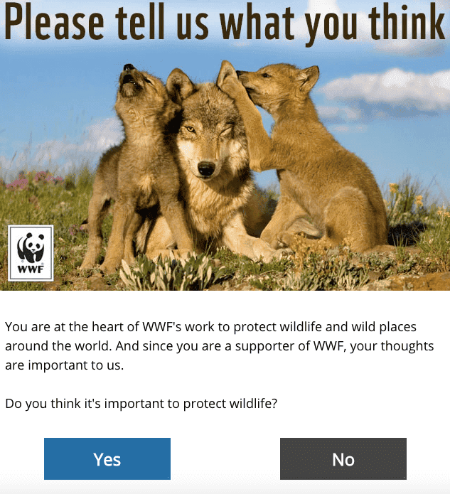 Marketing par e-mail avec collecte de données_Apprendre à connaître les intérêts des utilisateurs Marketing par e-mail avec collecte de données_Apprendre à connaître les intérêts des utilisateurs