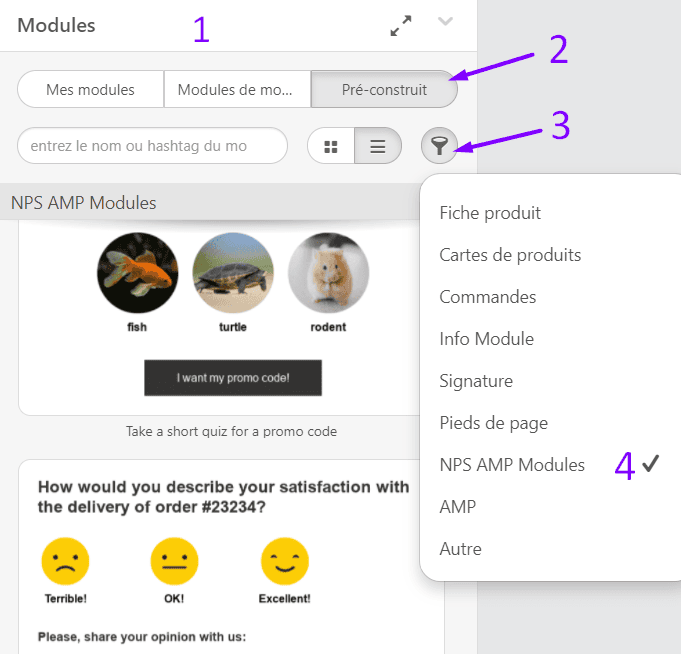 Façons d'utiliser AMP dans les e-mails_Utilisation de modules AMP prédéfinis