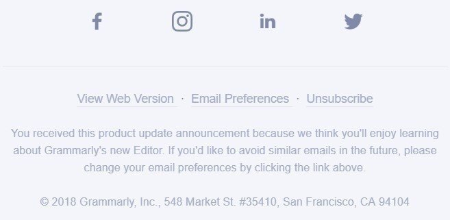 Stripo-Footer-Email-Preferences
