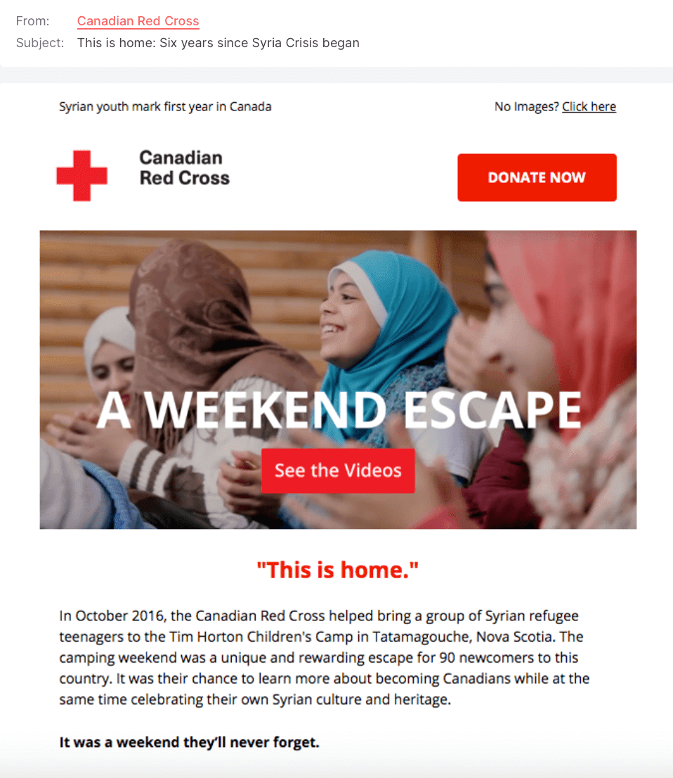 Пример некоммерческого письма от Red Cross