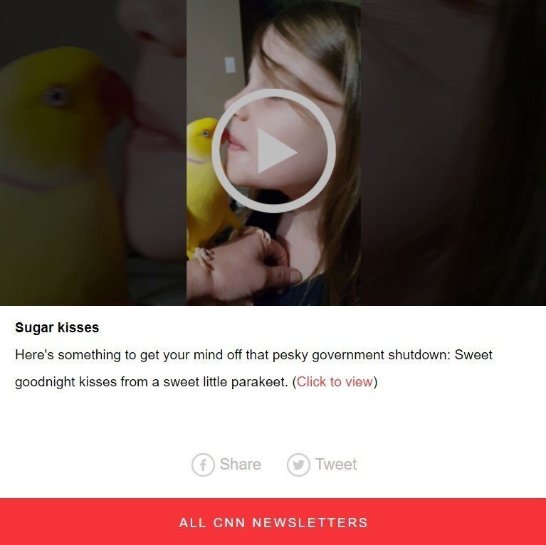Stripo-Video-in-Emails