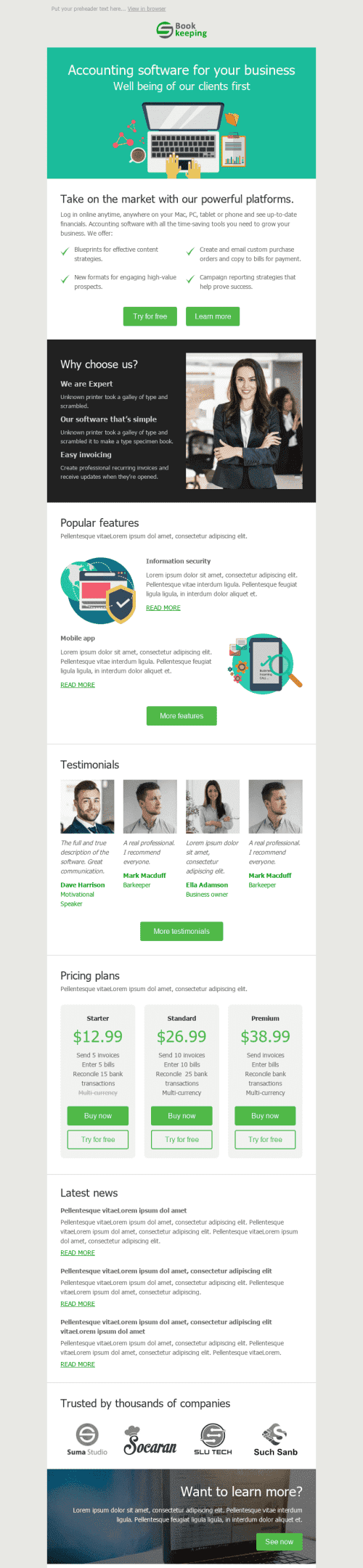 Personal Accountant Email Template by Stripo.email