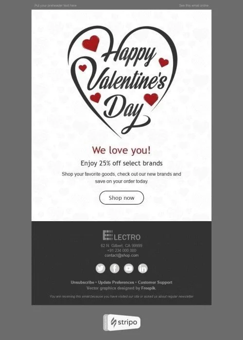 2528-Stripo-Gadgets-Holiday-newsletter-Happy-Valentine-day-Love-Around-Us-email-web