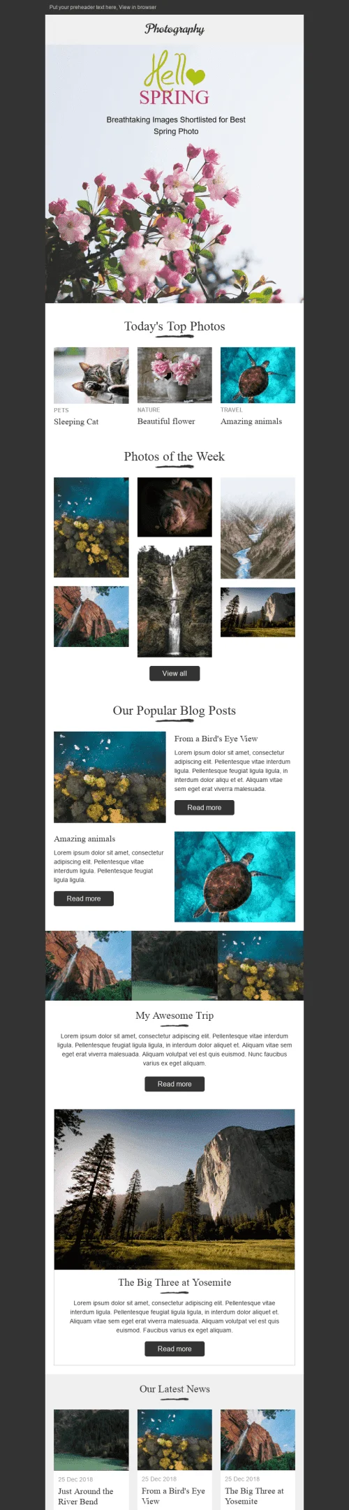 9140-Stripo-Photography-Promo-newsletter-Amazing-Nature-email-web