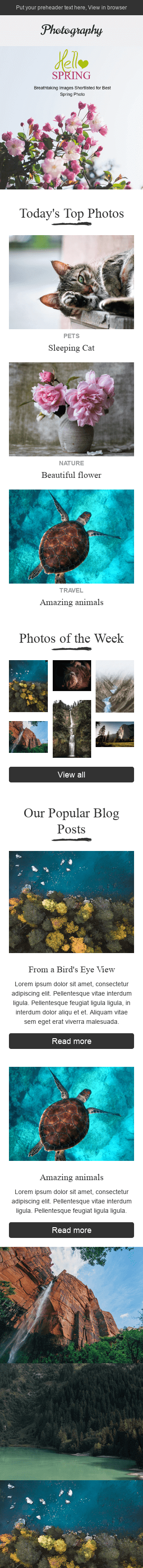 Promo Email Template "Amazing Nature" for Photography industry mobile view Promo Email Template "Amazing Nature" for Photography industry mobile view