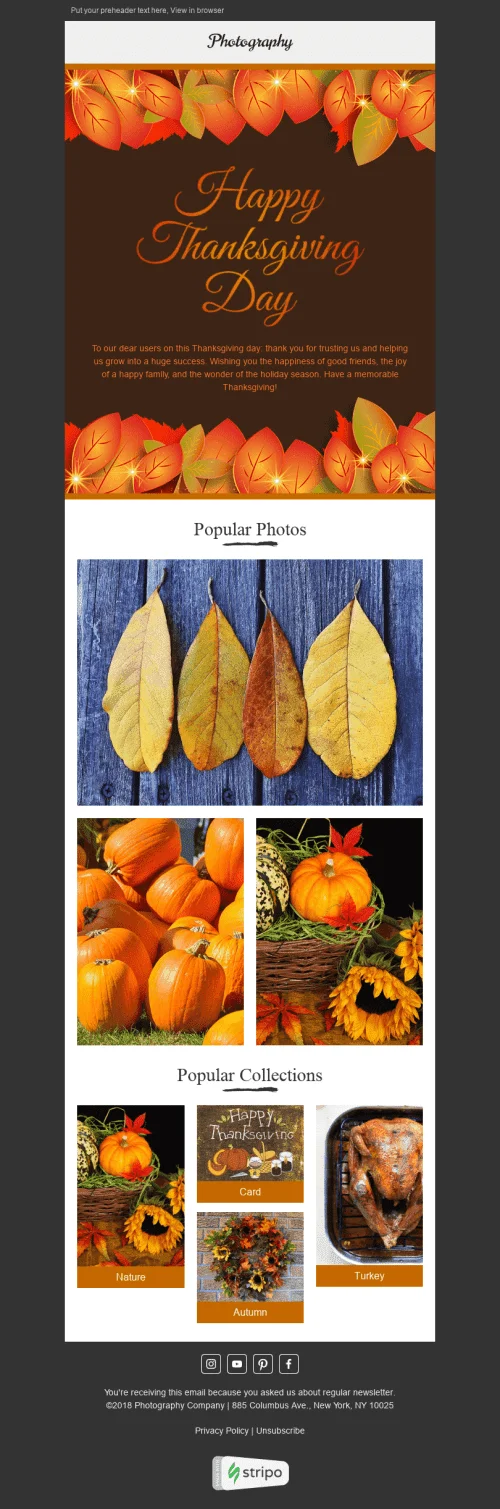 27208-Stripo-Photography-Holiday-newsletter-Thanksgiving-Day-Golden-Autumn-email-web