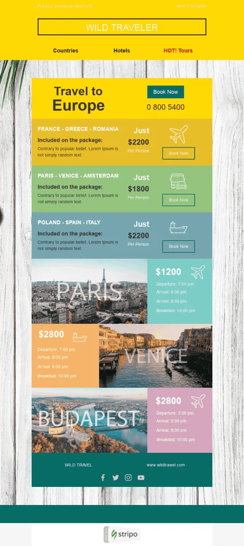 86993-Stripo-Tourism-Promo-newsletter-wild-traveler-email-web